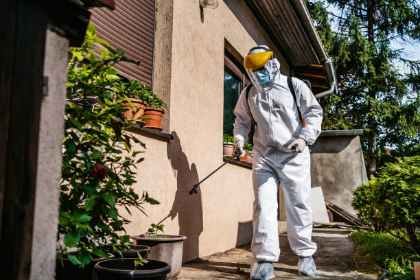 Best Exterminator Services  in Old Fig Garden, CA