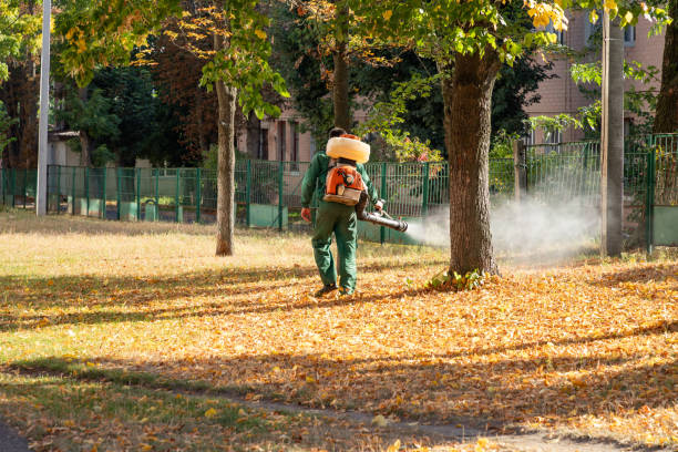 Best Local Pest Control Services  in Old Fig Garden, CA